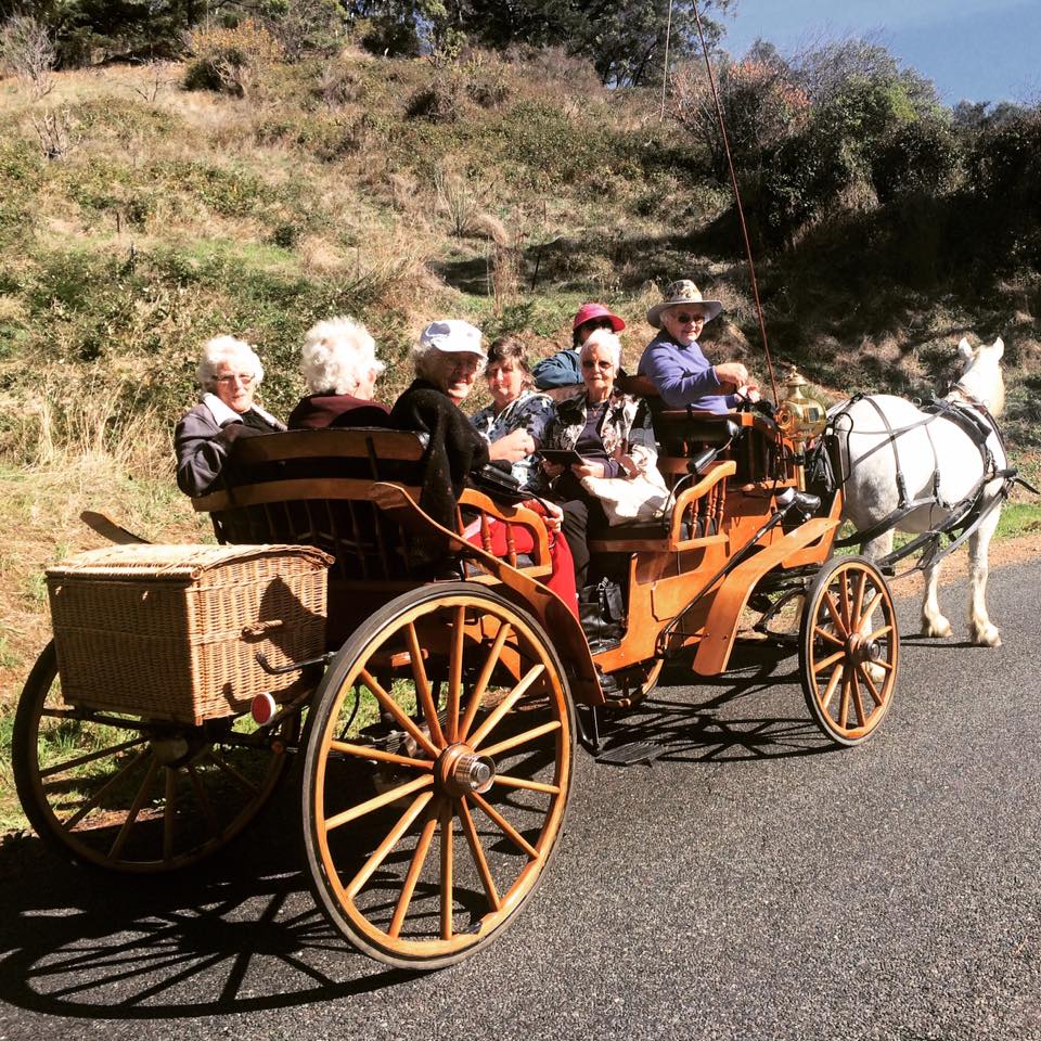 Ladies on open carriage ride with montana through adelaide hills