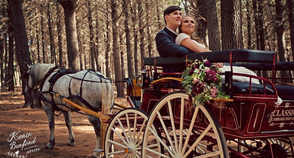 Wedding Carriage Ride Adelaide