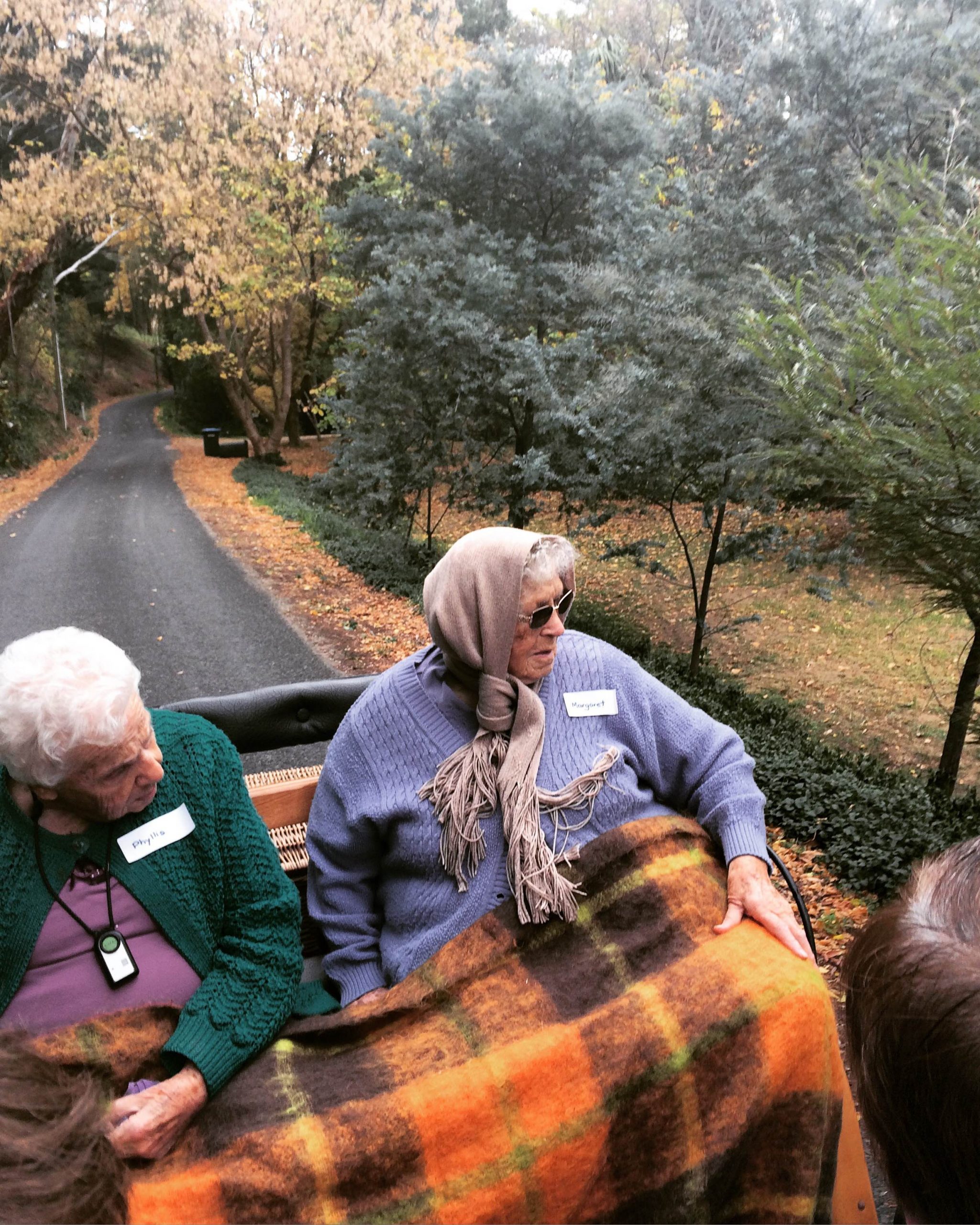 Elderly ladies enjoying carriage ride through montacute valley