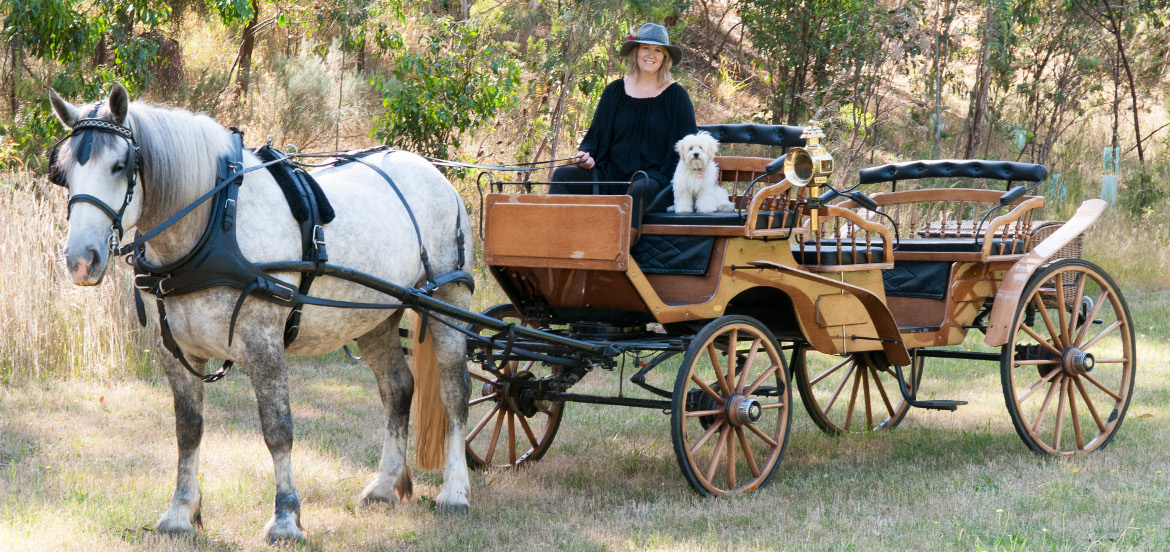 classic carriage drives adelaide
